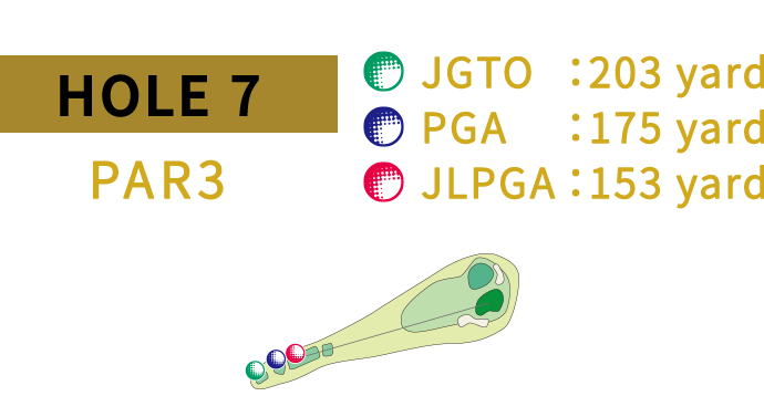 HOLE 7 JGTO:195yard PGA:173yard JLPGA:140yard